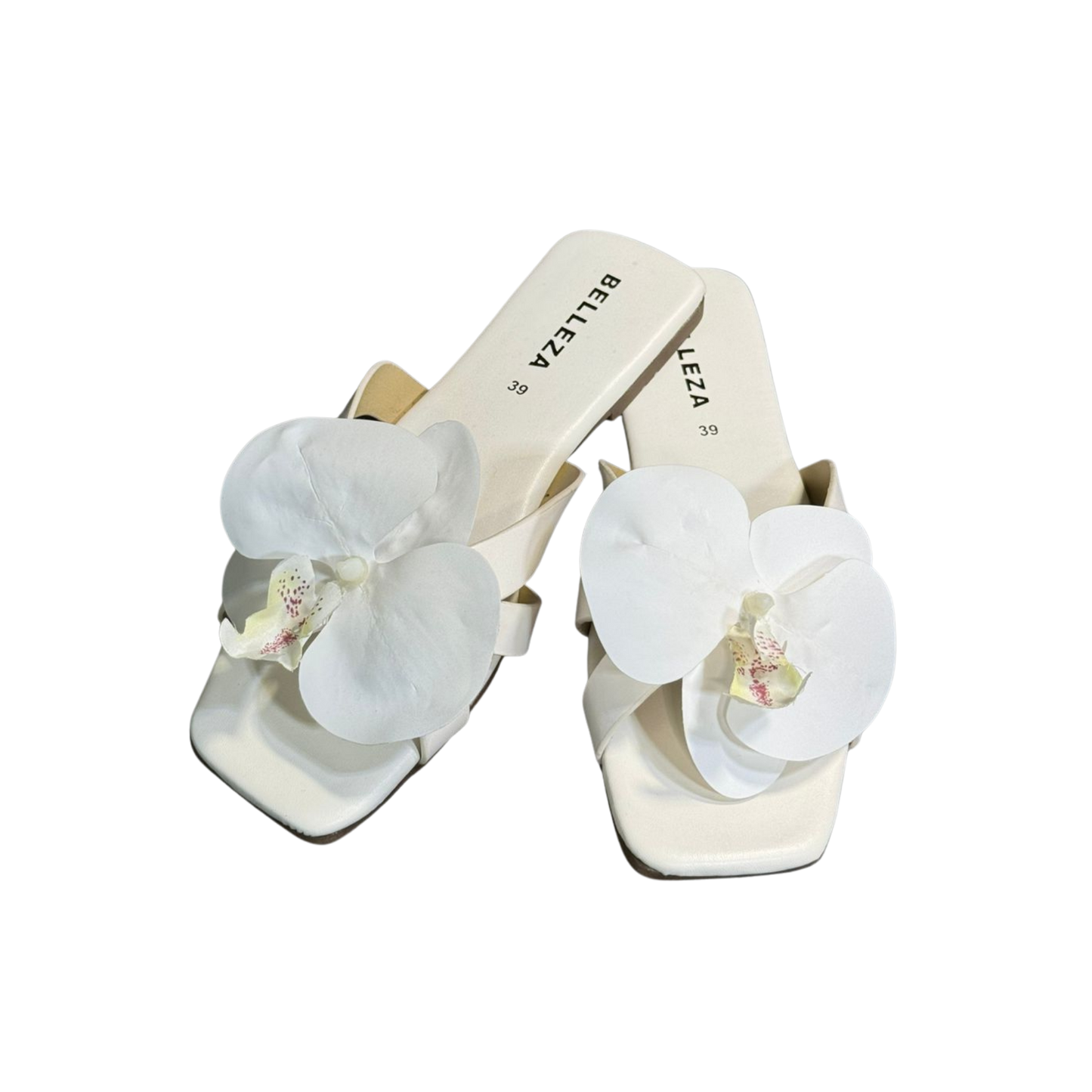 FLORAL - STEP