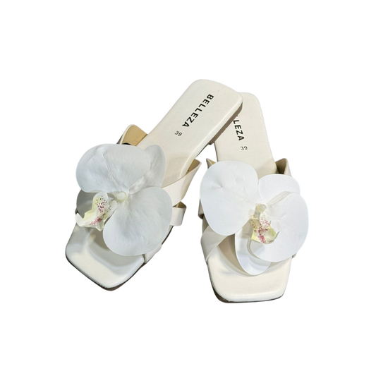 FLORAL - STEP